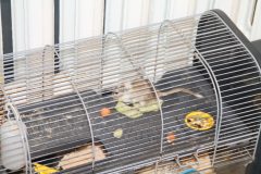 IMG_1061-scaled