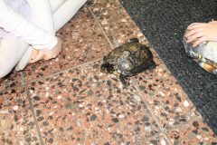 IMG_1062-scaled